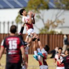 カパが仕事に集中できれば、安定間違いなし。