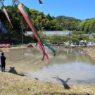のどかな田園風景。大阪にもこんな場所あるんですね〜。
